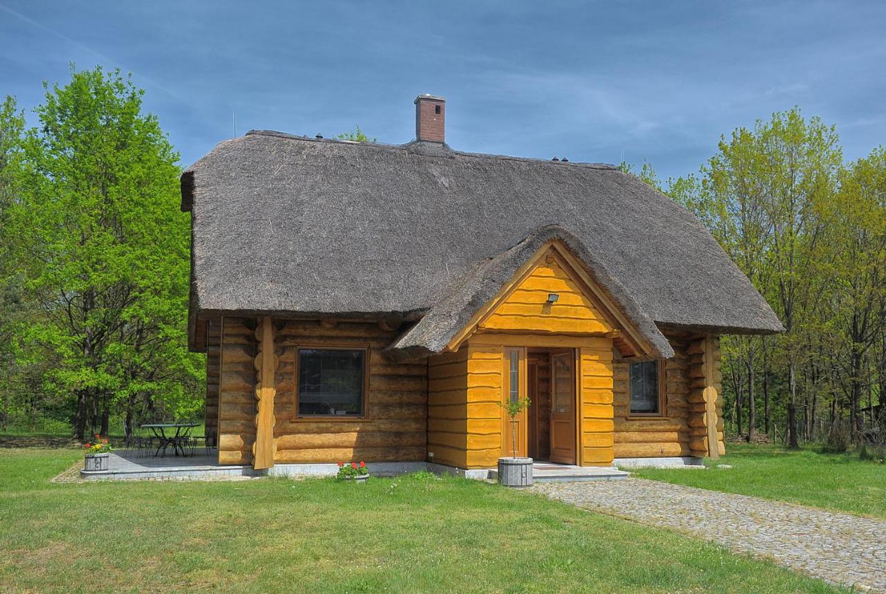 Vila Dom Pod Sosnami Gryżyna Exteriér fotografie