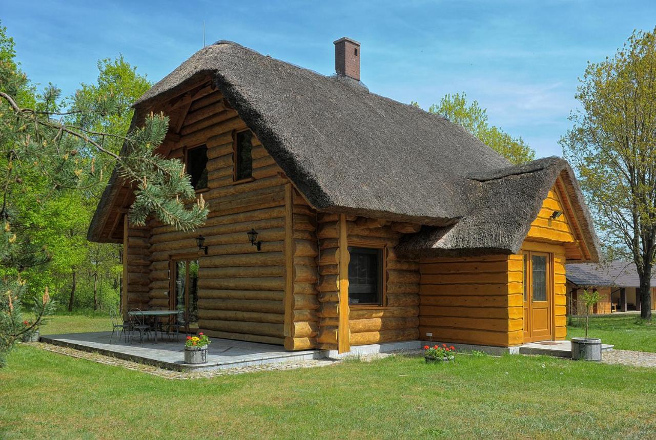 Vila Dom Pod Sosnami Gryżyna Exteriér fotografie