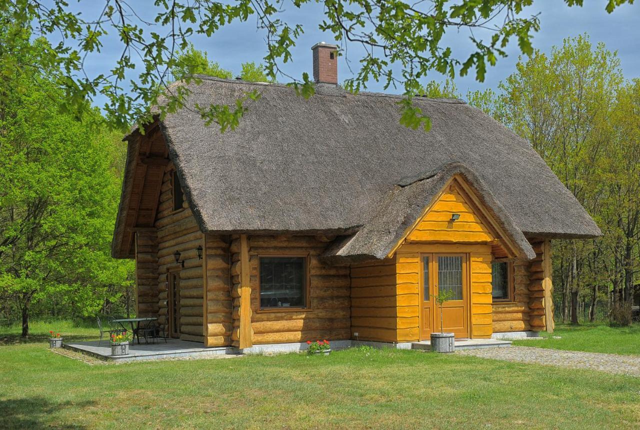 Vila Dom Pod Sosnami Gryżyna Exteriér fotografie