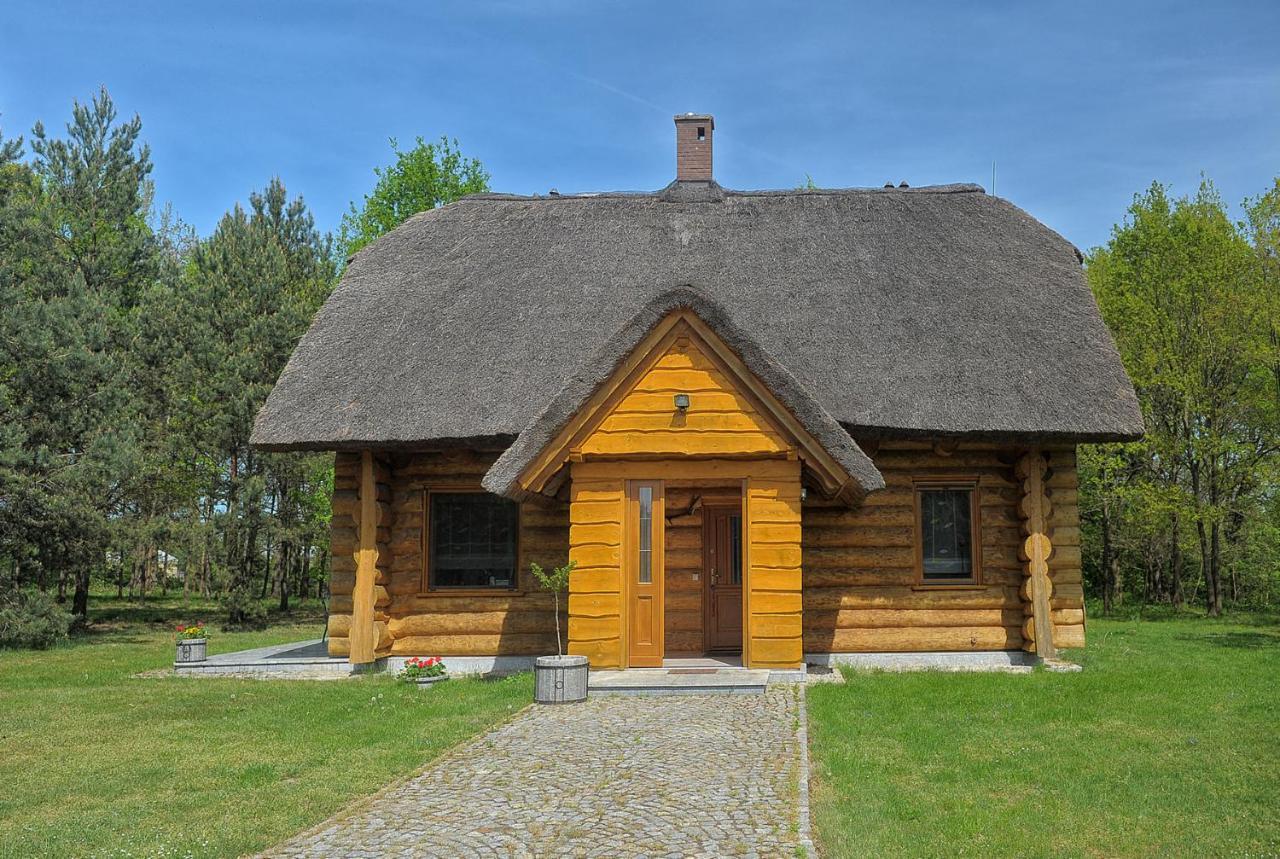Vila Dom Pod Sosnami Gryżyna Exteriér fotografie